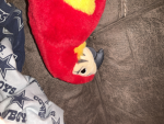 Pet my bird