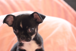{...Issey's give away...}