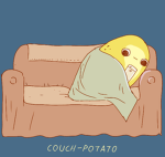 Couch-Potato Studios