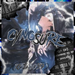 私 CYNOSURE