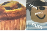 blocky’s love muffins