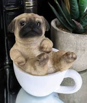 Pug plays games