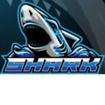 Infinite shark Studio
