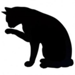 Black Cat Clothing®