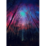 Astronomy_Army