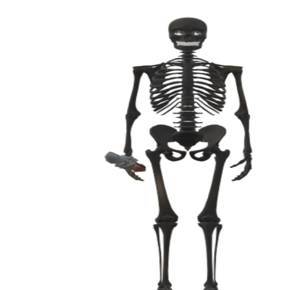cursed wither skeleton Roblox decal