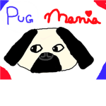 Pug MANIA!!!