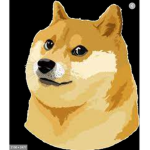 Doge war official group
