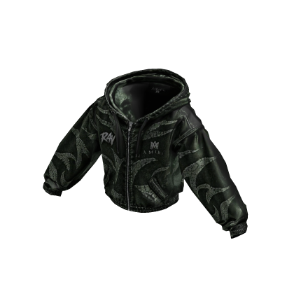 R4V AMIRI 02