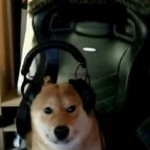 🐕 Puppers 🐕