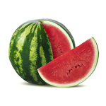 The wild melon