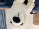 Pandas fan club