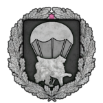 RG-Parachute-Tank-Hunter-Regiment "Wyvern"