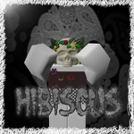 Hisbiscus Outfitters