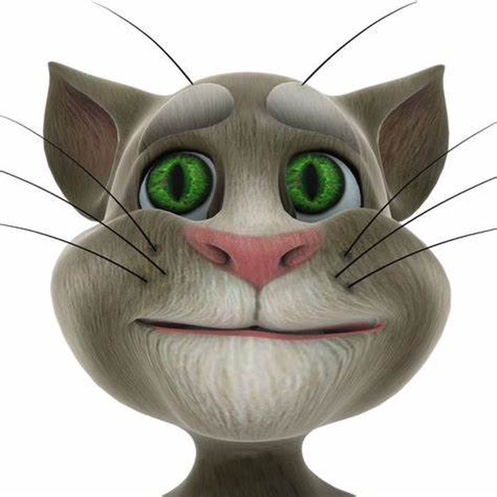 Talking Tom Cat Map preview 1