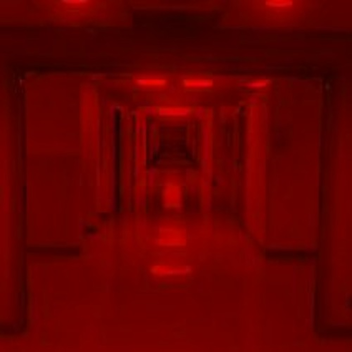 RUN FOR YOUR LIFE!!!!!!!!!!