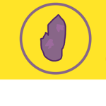 Star Amethyst Productions
