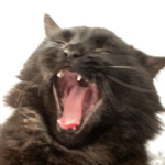 AaAAHH!!