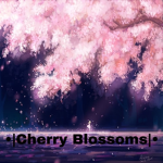 •|Cherry Blossoms|•