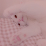 tori’s spot