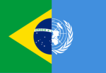 Brazilian supporters