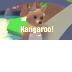 Team Kangaroo :D