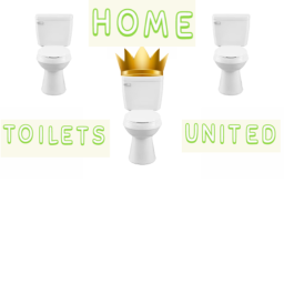 🚽 Toilets United Home 🚽