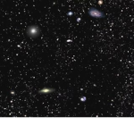 Space Llamas