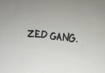 Zed Gng