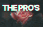 The Pro's Hood