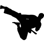 The Martial Arts Team