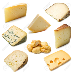 The Great Cheez Celebration!