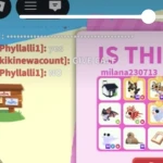 kwitte Group Thumbnail