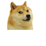 XBOX pro clan