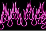 FlamingoPinkFlame