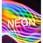 NEON Fashion co