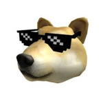 Duo Doge