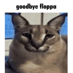 I Love Floppa