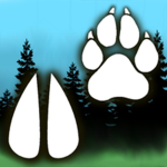 Animal Paws Studios