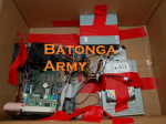Batonga Army