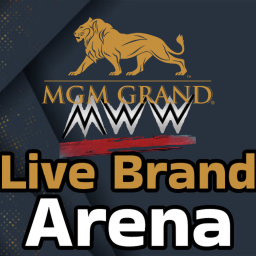 MWW Live Brand Arena | MGM Grand Arena |