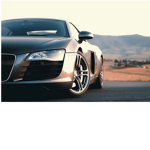 MrRobloxs fan group (REAL)