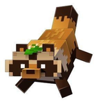 Puki Nook