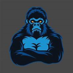 Gorilla Tag Beginners/Professional