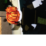Liberty town call Goverment Working