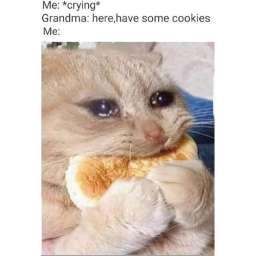 doge village