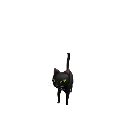 black cat for Mr_MC2010