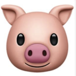 OINK OINK CLUB HOUSE
