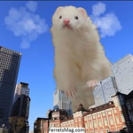 ===P