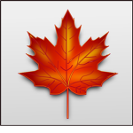Maple Leaf Clothes